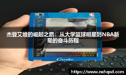 智博19